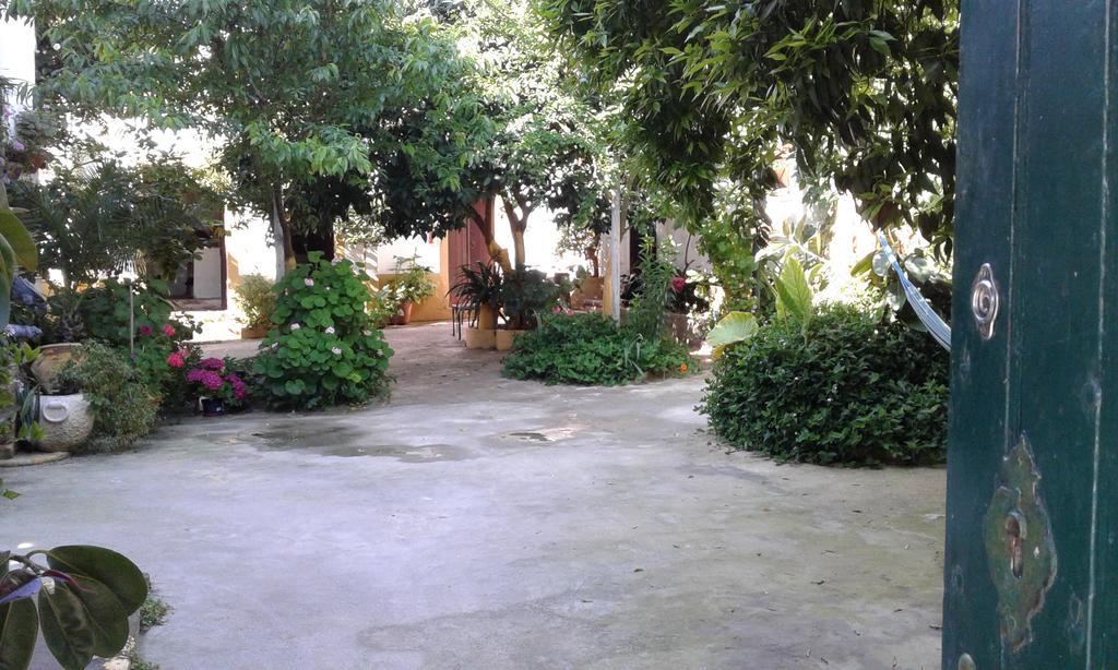 Patio Das Flores Ferreira Do Alentejo Exteriér fotografie
