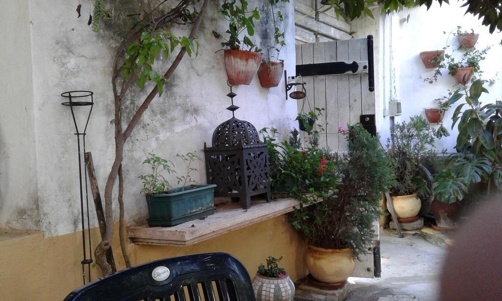 Patio Das Flores Ferreira Do Alentejo Exteriér fotografie