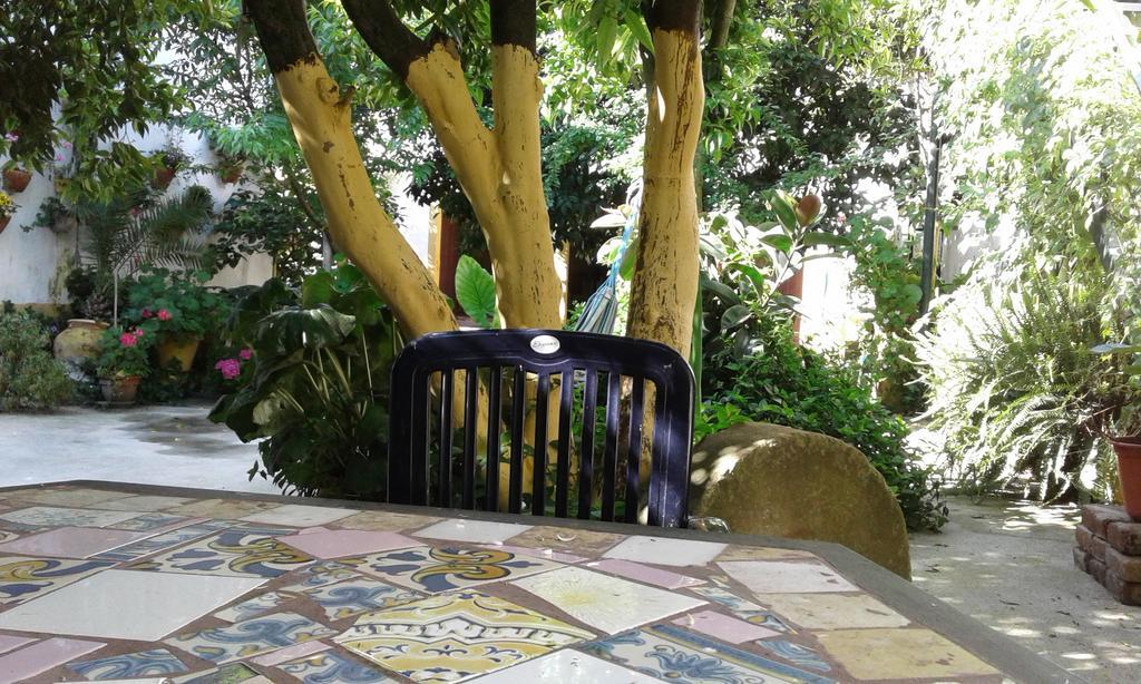 Patio Das Flores Ferreira Do Alentejo Exteriér fotografie