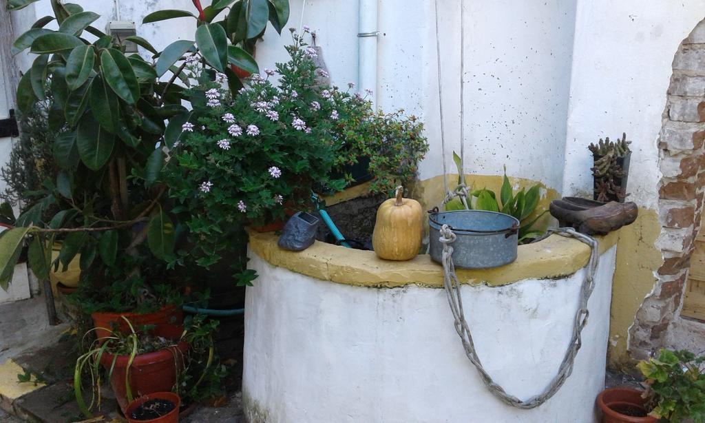 Patio Das Flores Ferreira Do Alentejo Exteriér fotografie